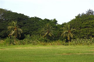 Kamerun hava tahmini