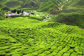 Kamerun hava tahmini