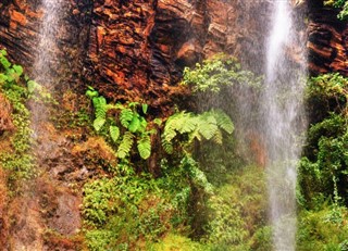 Kamerun hava tahmini