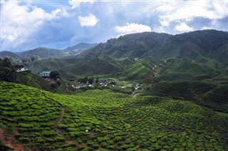 Kamerun hava tahmini
