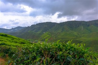 Cameroun vejrudsigt
