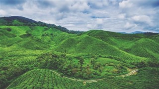 Kamerun hava tahmini