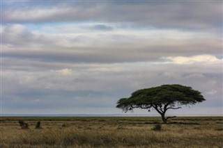 Kamerun hava tahmini