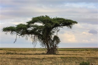 Kamerun vremenska prognoza