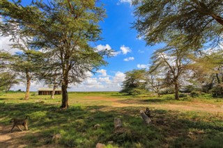 Kamerun hava tahmini