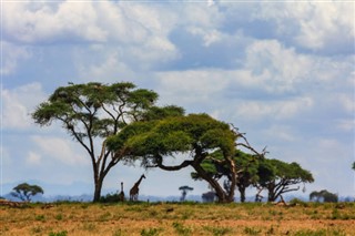 Kamerun hava tahmini