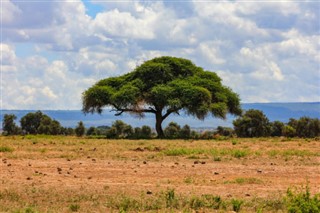 Kamerun hava tahmini