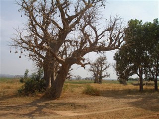 Kamerun hava tahmini