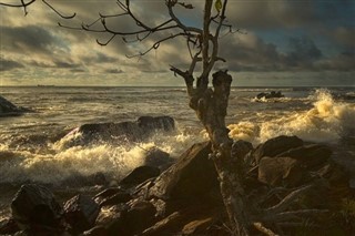 Kamerun hava tahmini