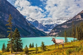 Canada vejrudsigt