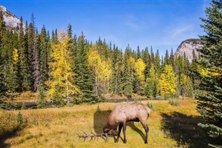 Canada vejrudsigt