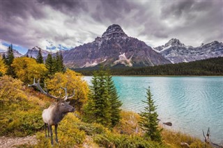Canada vejrudsigt