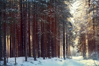 Kanada hava tahmini