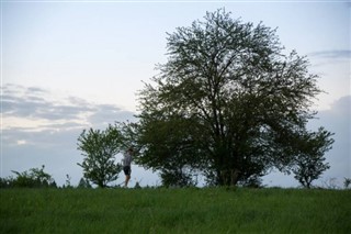 zöld-fok időjárás-jelentés