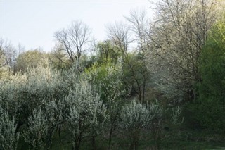 zöld-fok időjárás-jelentés