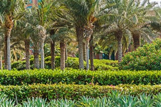 الرأس الأخضر توقعات الطقس