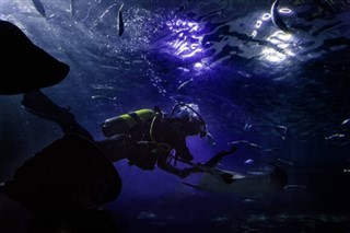 Cayman Islands předpověď počasí