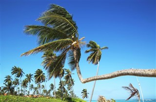 Cayman Islands vejrudsigt