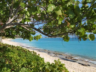 Cayman Adaları hava tahmini