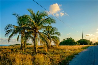 Cayman Inseln pronóstico del tiempo