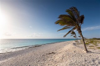 Cayman Islands vejrudsigt