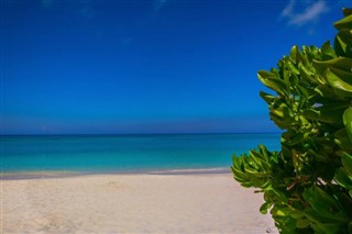 Cayman Adaları hava tahmini