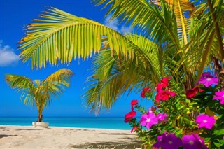 Cayman Islands weather forecast