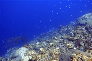 Cayman Adaları hava tahmini
