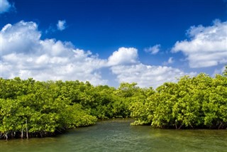 Îles Caïmans prévisions météorologiques