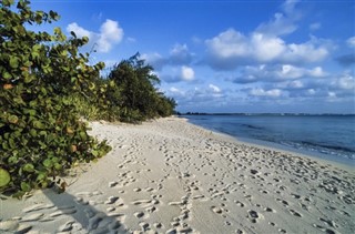 Cayman Islands vejrudsigt