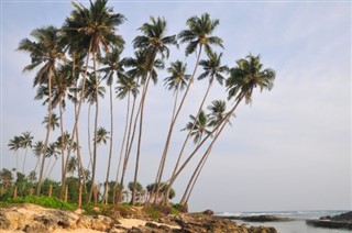 Cayman Islands vejrudsigt