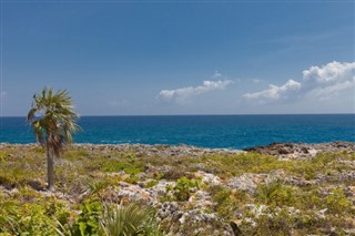 Cayman Adaları hava tahmini
