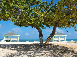 Cayman Islands vejrudsigt
