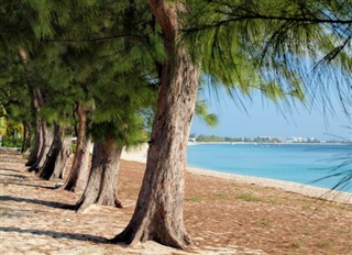 Cayman Islands vejrudsigt