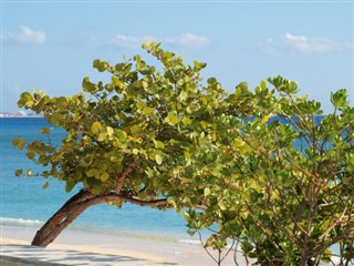 Cayman Islands vejrudsigt