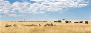 Centralafrikanske Republik vejrudsigt