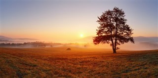 Orta Afrika Cumhuriyeti hava tahmini