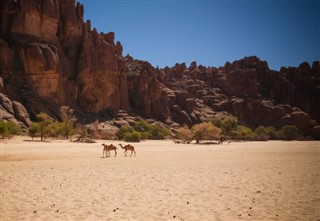 Tchad vejrudsigt