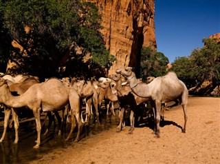 Tchad vejrudsigt