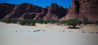 تشاد توقعات الطقس