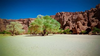 Tchad vejrudsigt