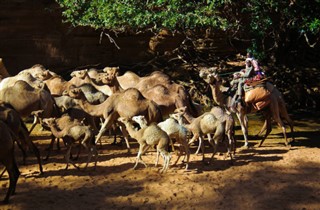 Çad hava tahmini