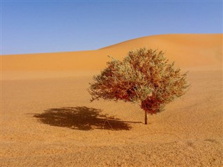 Tchad prévisions météorologiques