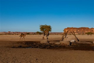 Tchad vejrudsigt