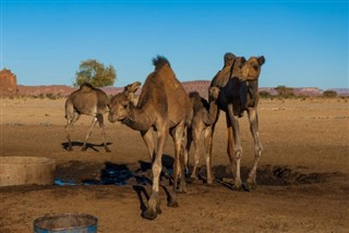 Tchad vejrudsigt