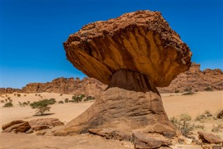 Tchad vejrudsigt