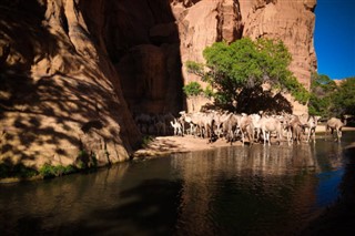 Tchad vejrudsigt