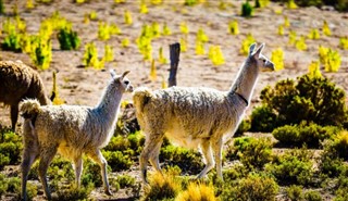 Chile previsioni del tempo