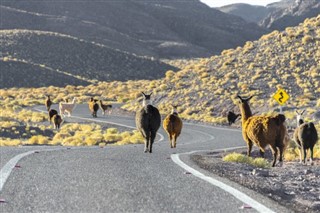 Chile pronóstico del tiempo
