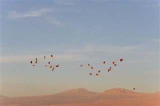 Chile vejrudsigt